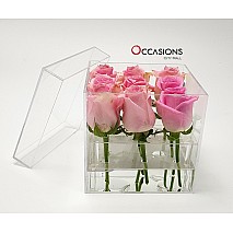 Pink Roses Acrylic Box  - 9 Roses