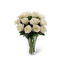 12 White Roses 
