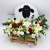 Eid Adha Sheep Arrangement