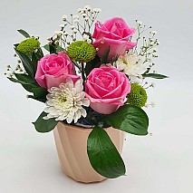 Roses pink pot