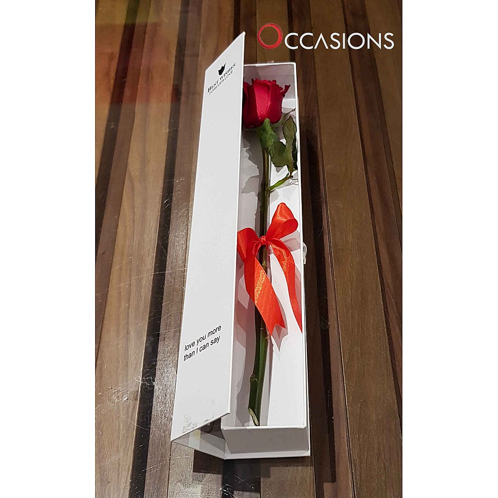 One Classy Red Rose - White