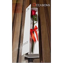 One Classy Red Rose - White
