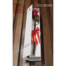 One Classy Red Rose - White