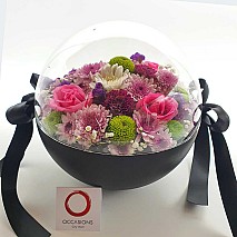 Flower Dome - (Black)