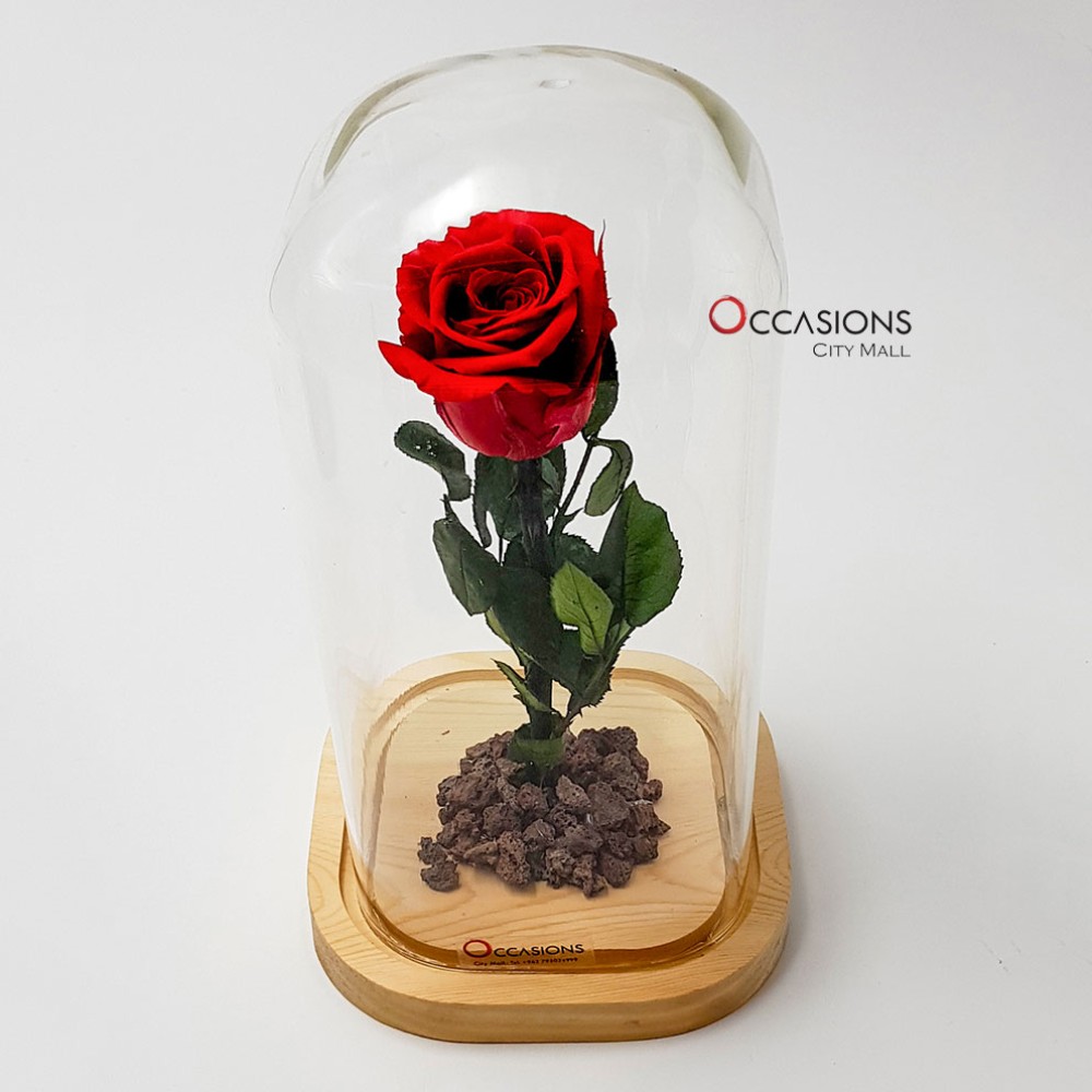 Forever Rose - L