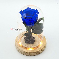 Forever Rose with Light - S - Blue