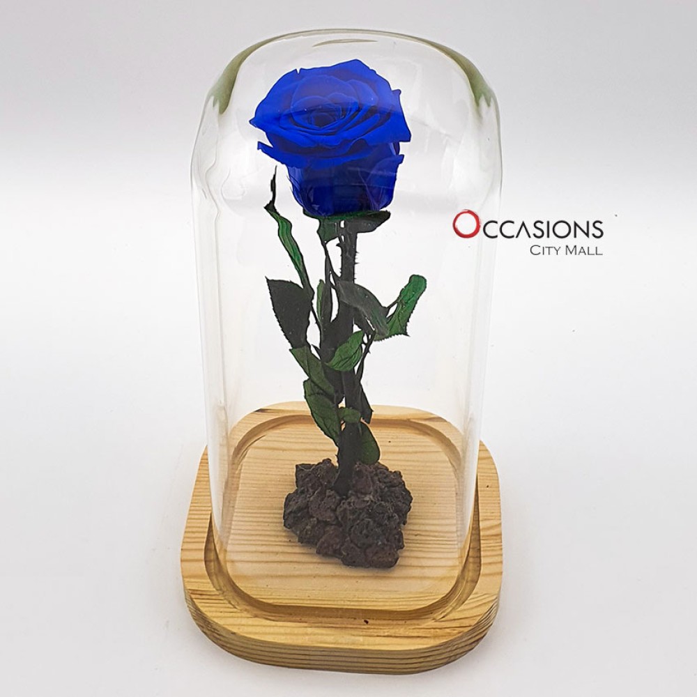 Forever Blue Rose - L