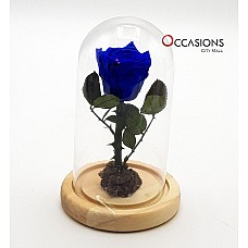 Forever Blue Rose - M