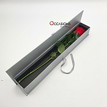 One Classy Red Rose