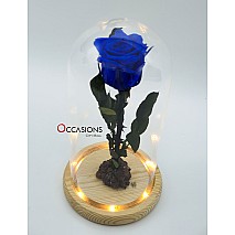 Forever Rose with light - Blue
