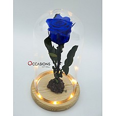 Forever Rose with light - Blue
