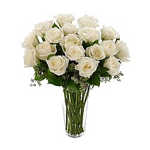 20 White Roses 