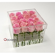 Pink Roses in Acrylic Box - 16