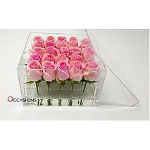Pink Roses in Acrylic Box - 25