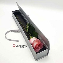 One Classy pink Rose