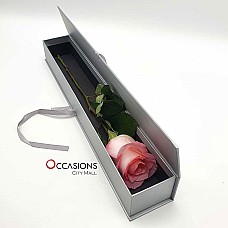 One Classy pink Rose