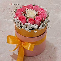 Pink Box Rose