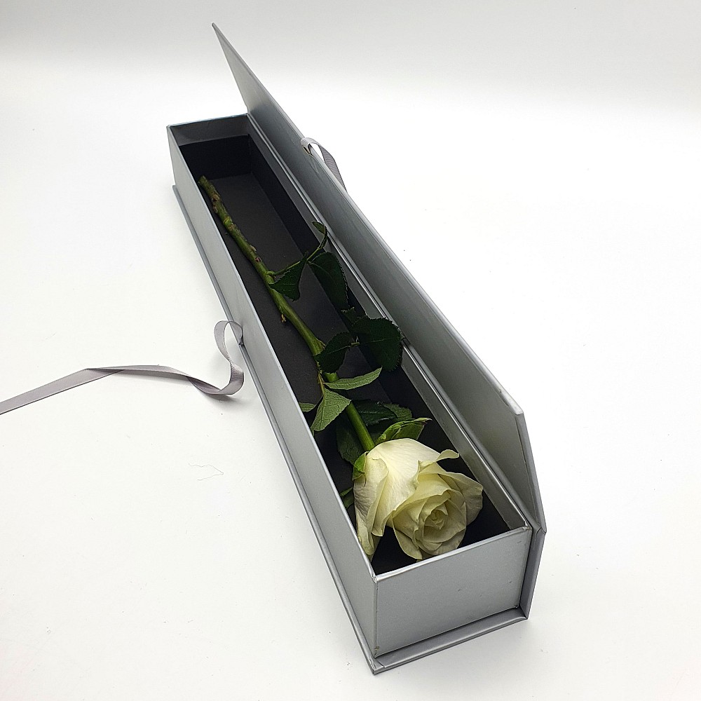 One Classy white Rose
