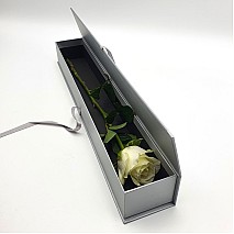 One Classy white Rose