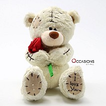 Teddy with Rose