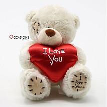 I Love You Teddy