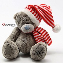 Winter Teddy - Red