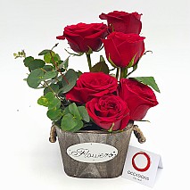 Roses Bucket Arrangement